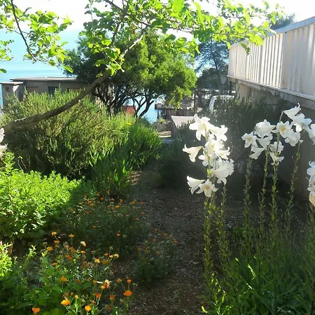 Dena - 60 M From Beach